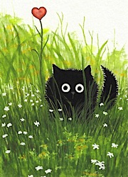 Черный кот :)