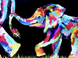 Слонёнок поп-арт